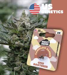 GMO Rootbeer - Cali Seeds