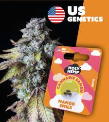 Mango Smile - Cali Seeds