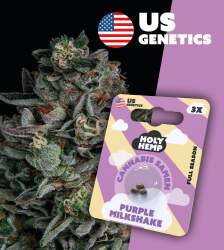 Purple Milkshake - Cali Seeds