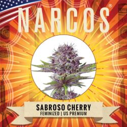 Narcos Sabroso Cherry Feminized