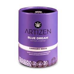 Blue Dream - Artizen