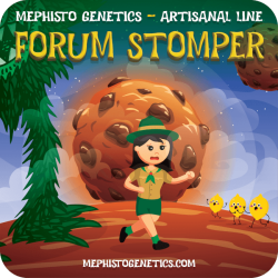 Forum Stomper Auto - Mephisto Genetics