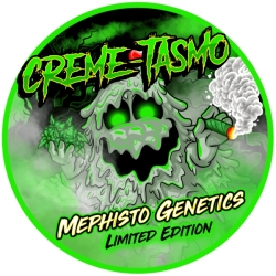 Creme-Tasmo Auto - Mephisto Genetics