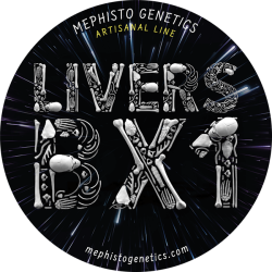 Livers Bx1 Auto - Mephisto Genetics