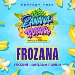 Frozana Reg. - Perfect Tree Seeds