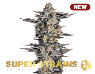 Crackers - Super Strains