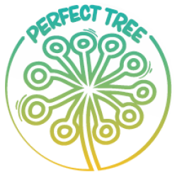 Peach Tree - Perfect Tree Seeds