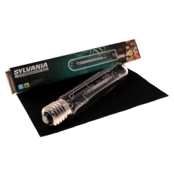 GROLUX HPS Lampe - SYLVANIA