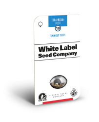 Strawberry Kush - White Label Seeds