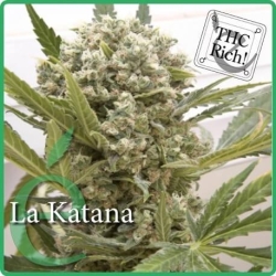 La Katana - éLite Seeds