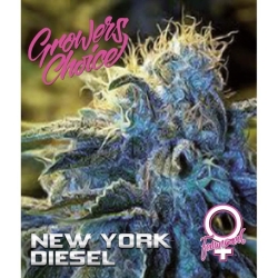 New York Diesel - Growers Choice