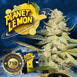 Planet Lemon 710 Special Pack - T.H. Seeds