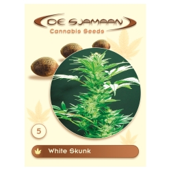 White Skunk - De Sjamaan Seeds