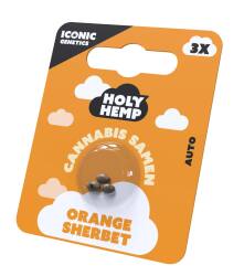 Orange Sherbet Cannabissamen - Holy Hemp