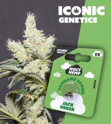 Jack Herer - Iconic Seeds