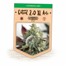 Critical 2.0 XL Auto - Garden of Green