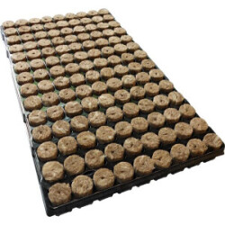 Speedgrow Green 126er Tray Ø28mm / 40mm