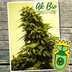 AK Bio - Biological Seeds