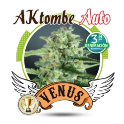 Aktombe Auto - Venus Genetics