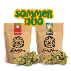 Sommer Duo - 2 Sorten je 5g