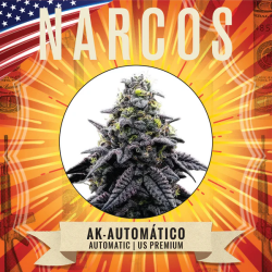 AK-Automático - Narcos Seeds