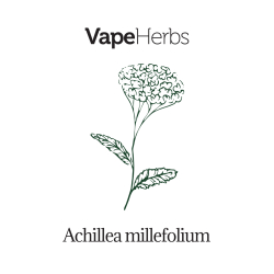 VapeHerbs – Schafgarbe 30g