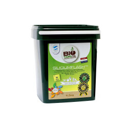 BioTabs Silicium Flash 2500ml (1500g)