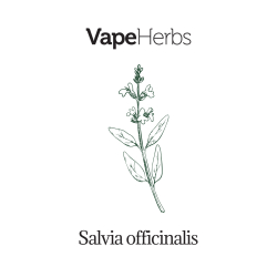 VapeHerbs – Salbei 30g