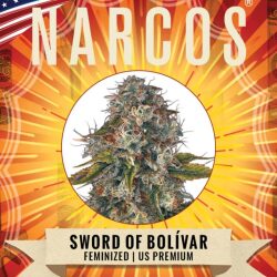 Narcos Sword of Boliávar Feminized