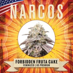 Narcos Cali Critical Power Feminized