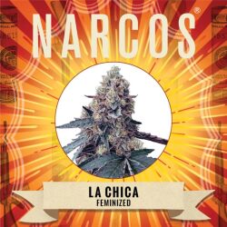 Narcos La Chica Feminized