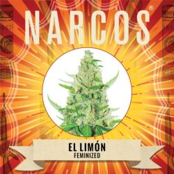 Narcos El Limón Feminized