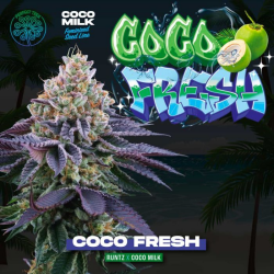 Coco Fresh - Perfect Tree Seeds