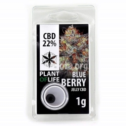 Blueberry 22% CBD Jelly - Plant of Life