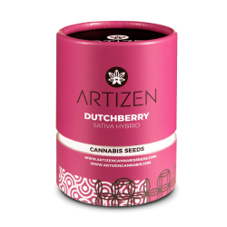 Dutchberry - Artizen