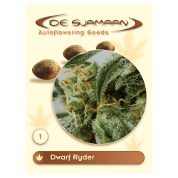 Dwarf Ryder - De Sjamaan Seeds