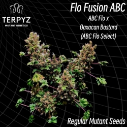 Flo Fusion ABC Reg. - TerpyZ Mutant Genetics