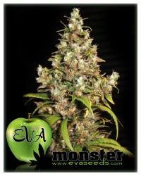 Monster - Eva Seeds