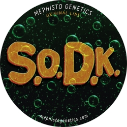 S.O.D.K Auto - Mephisto Genetics