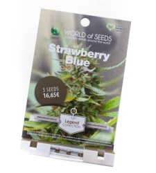 Strawberry Blue - World of Seeds