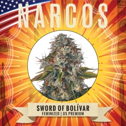 Sword of Bolívar- Narcos Seeds