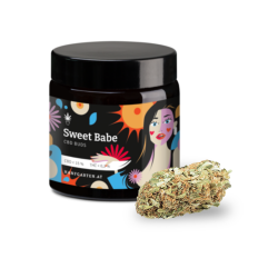 Sweet Babe Premium Blüten