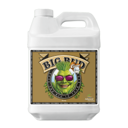 Big Bud Coco - Advanced Nutrients