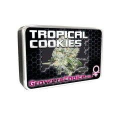 Tropical Cookies - Growers Choice