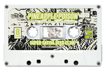 Pineapple Poison - Super Sativa Seed Club