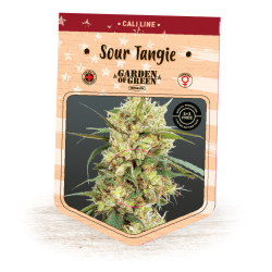 Sour Tangie - Garden of Green