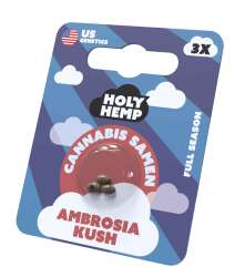 Ambrosia Kush Cannabissamen - Holy Hemp