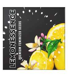 Lemonessence - Doja