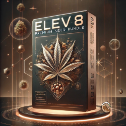 Elev8 Seeds Bundle ➜ 9 Premium-Cannabissamen