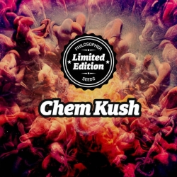 Chem Kush - Philosopher Seeds